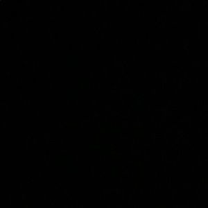 Meet your Posher, Gianna